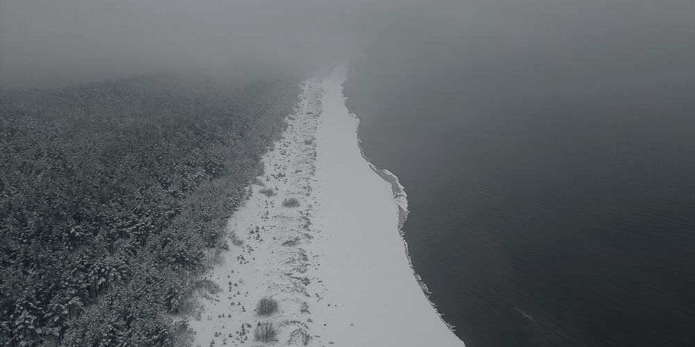 A forested slope disappearing into heavy fog